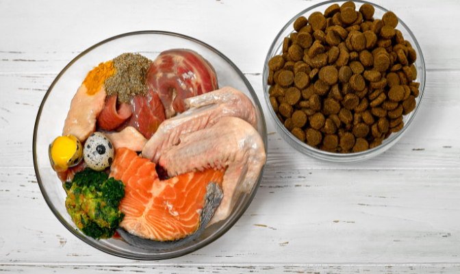  BIBS for You - Pets Magic