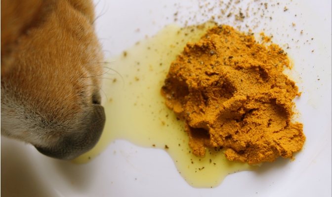  BIBS for You - Pets Magic