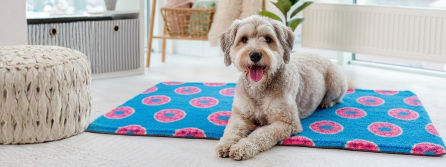  BIBS for You - Pets Magic