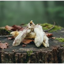 ChewBar Szárított szőrös nyúlláb 1db