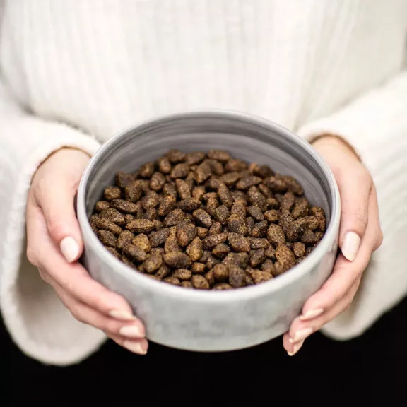 Buddy Wild Venison - Őz- és Szarvashúsos kutyatáp 12kg