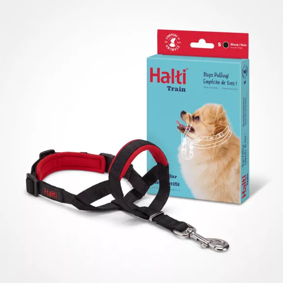 Halti OptiFit állítható fejpánt Small Halti OptiFit állítható fejpánt Small