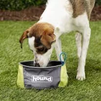 Outward Hound Port a Bowl - utazótál