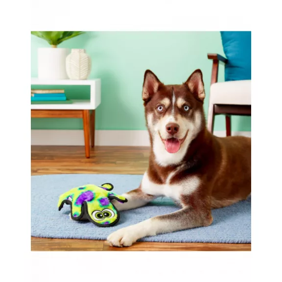 Outward Hound Invicibles Gekko 36cm