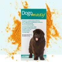   DogoMaxy 60db - izületvédő közepes, nagytestű kutyáknak