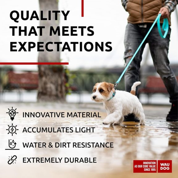 WauDog vízálló, fluoreszkáló póráz 20mm × 122cm - menthol
