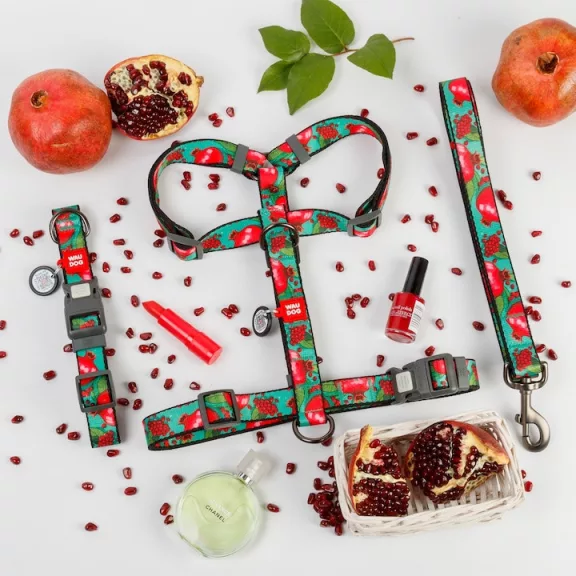 WAUDOG Gránátalmás Nylon nyakörv 28-40cm 20mm