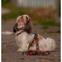 WAUDOG Gránátalmás Nylon nyakörv 28-40cm 20mm