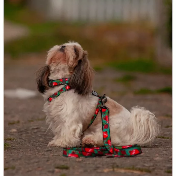 WAUDOG Gránátalmás Nylon nyakörv 28-40cm 20mm