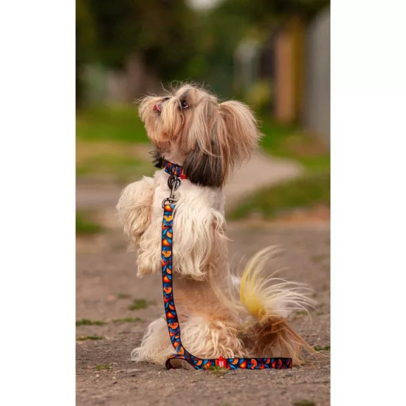 WAUDOG Narancs mintás kék Nylon nyakörv 28-40cm 20mm