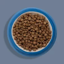 Ziwi Peak Dog Steam&Dried csirke almával 1,5kg