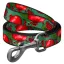 WAUDOG Gránátalmás zöld Nylon póráz 20mm 122cm