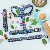 WAUDOG Füge mintás kék Nylon póráz 20mm 122cm
