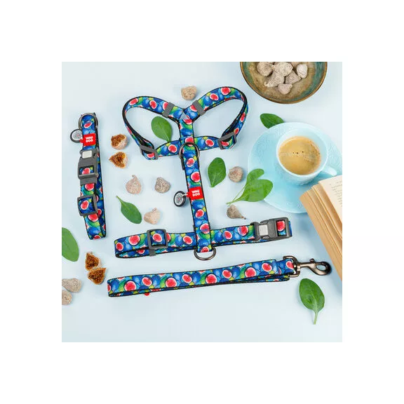 WAUDOG Füge mintás kék Nylon póráz 20mm 122cm