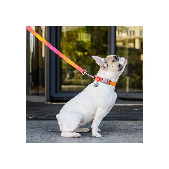 WAUDOG Gradiens Újrahasznosított Nylon Kutyapóráz 20 mm × 122 cm – narancs