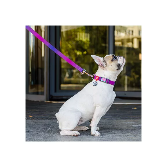 WAUDOG Gradiens Újrahasznosított Nylon Kutyapóráz 20 mm × 122 cm – Lila