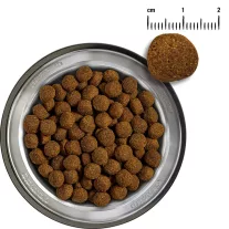   BELCANDO Baseline Ranger marhás száraztáp felnőtt kutyáknak 12,5 kg