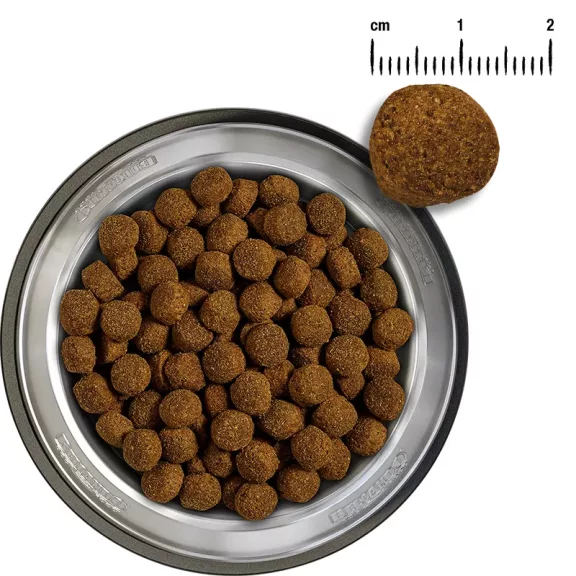 BELCANDO Baseline Ranger marhás száraztáp felnőtt kutyáknak 12,5 kg