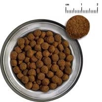 Belcando Baseline Fisher halas kutyatáp 1kg