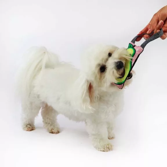 WauDog Fun Avocado mintás sípolós hurka, dummy játék 16x7cm