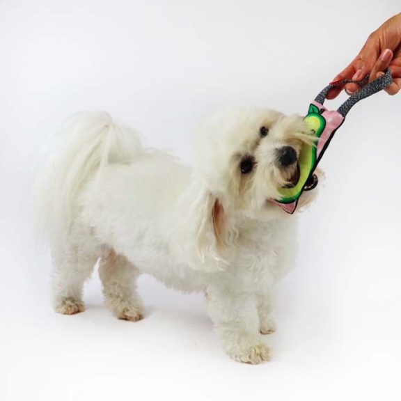 WauDog Fun Avocado mintás sípolós hurka, dummy játék 21x9cm