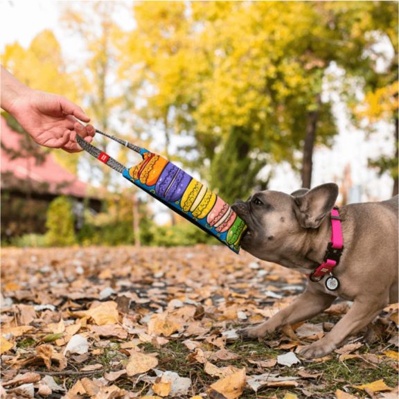 WauDog Fun Macaron mintás sípolós hurka, dummy játék 21x9cm