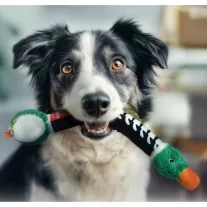 Waudog Fun Crunchy kacsa kutyajáték, 37 cm