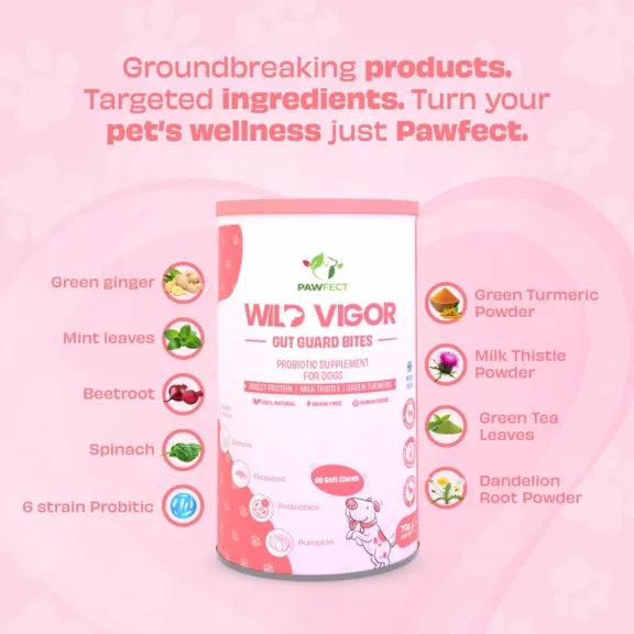 Pawfect Wild Vigor Gut Guard emésztéstámogató tabletta 60db