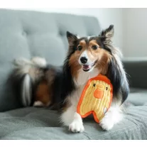 Outward Hound Invicibles Csirke 17cm