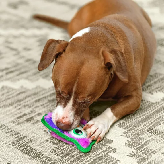Outward Hound Invicibles Bagoly 15cm