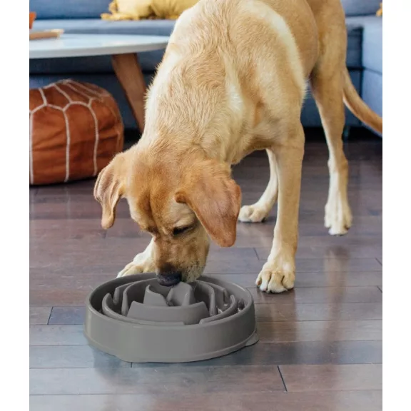 Outward Hound Fun Feeder Large szürke