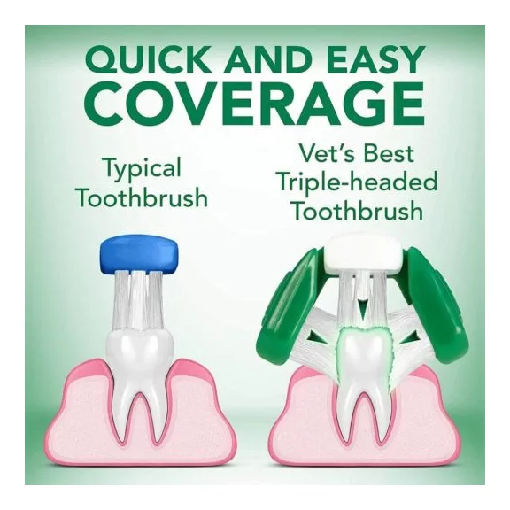 Vet's Best Dental kit - fogápoló csomag fogkefe+fogkrém