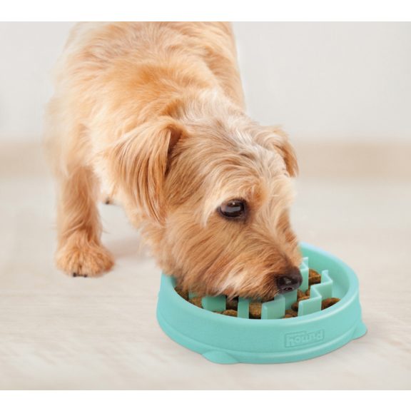 Outward Hound Fun Feeder Small menta