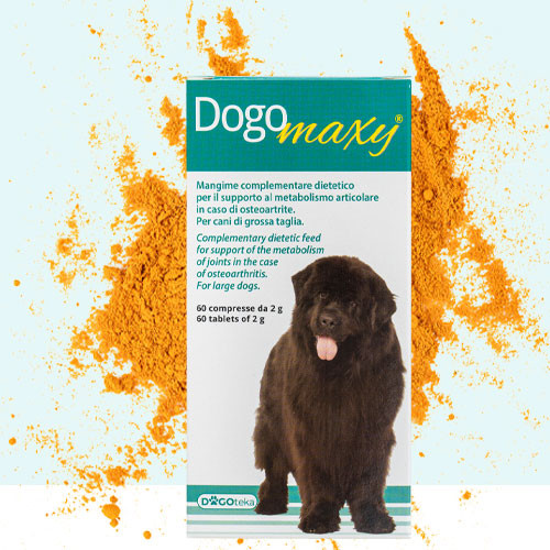 DogoMaxy - izületvédő közepes, nagytestű kutyáknak