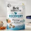 Brit Functional Snack Recovery Herring jutalomfalat 150g