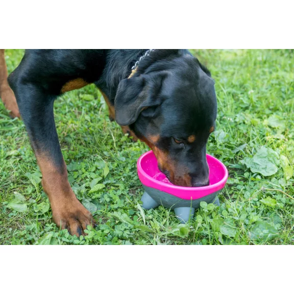 Kiwi Walker UFO 750ml-es kutyatál - narancs