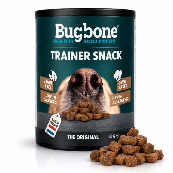BugBone rovarfehérjés tréningfalat 63 g BugBone rovarfehérjés tréningfalat 63 g