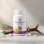 Bio Velpet Dog 90db tabetta degeneratív ízületi problémákra