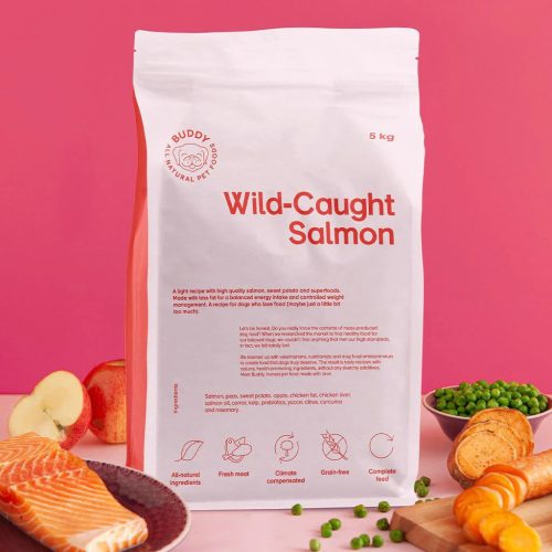 Buddy Wild-Caugh Salmon kutyatáp 2kg