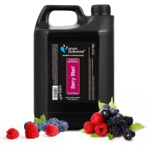 Groom Professional Berry Blast Sampon 4l