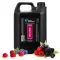 Groom Professional Berry Blast Sampon 4l