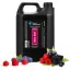 Groom Professional Berry Blast Sampon 4l