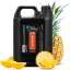 Groom Professional Tropical Revitalise kondícionáló száraz, fakult szőrre 4l