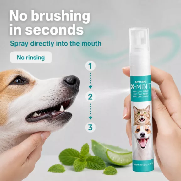 Artero X-Mint friss lehelet és szájápoló spray 14 ml