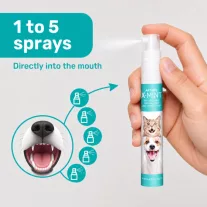 Artero X-Mint friss lehelet és szájápoló spray 14 ml