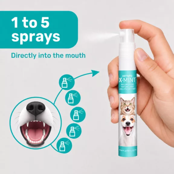 Artero X-Mint friss lehelet és szájápoló spray 14 ml