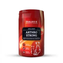 Holista Arthro Strong - komplex izületvédő 200g