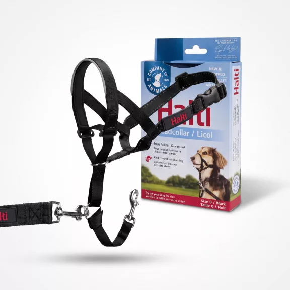 Halti Headcollar fejpánt kutyáknak 0-s méret – fekete Halti Headcollar fejpánt kutyáknak 0-s méret – fekete