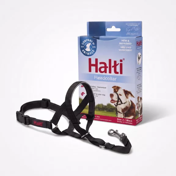Halti Headcollar fejpánt kutyáknak 2-es méret – fekete Halti Headcollar fejpánt kutyáknak 2-es méret – fekete