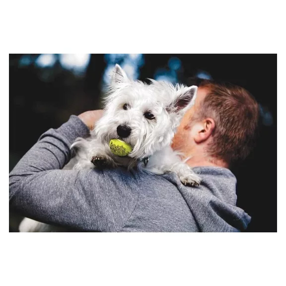 KONG Squeakair - sípoló teniszlabdák M 6,3cm - 3db